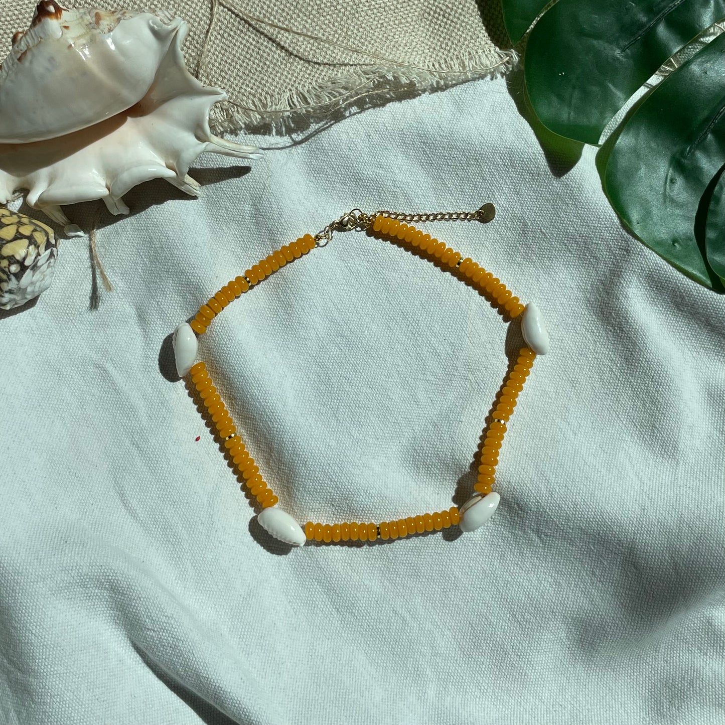 Chocker Roa