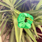 Chouchou Velours
